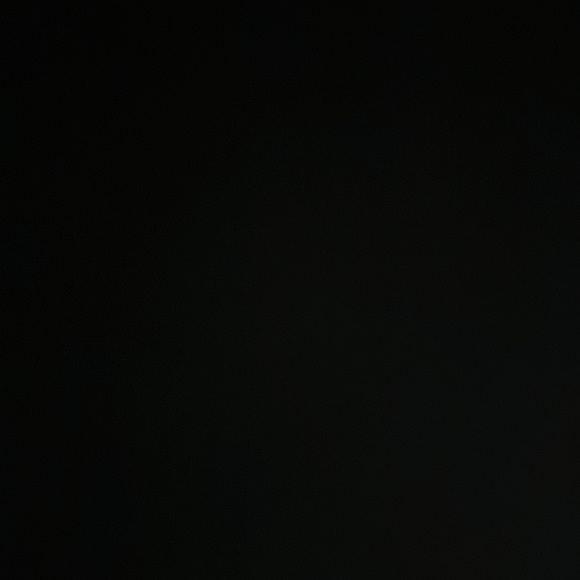 Meet your Posher, Rudy - Picture 1 of 1